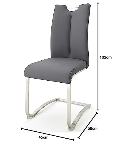Robas Lund Esszimmerstühle 2er Set Grau, Echtleder Schwingstuhl Esszimmerstuhl max. 140 Kg Belastbar, Stuhl Artos - 7