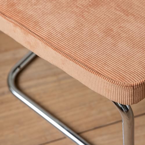 Happy Garden Satz von 2 Freischwinger-Stühlen in terracottafarbenem Cord Maria - 7