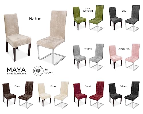 BEAUTEX 2er Set Stuhlhussen, elastische Stretch Hussen Bi-Elastic, Motiv und Farbe wählbar (Motiv Maya, Farbe Grau) - 3