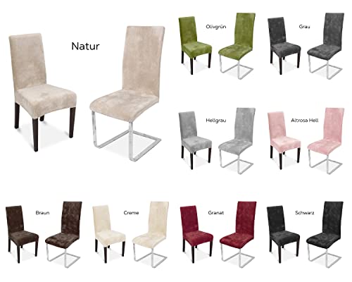 BEAUTEX Maya Samt Mirofaser Stuhlhusse, elastische Stretch Husse Bi-Elastic, Farbe wählbar, Grau - 3