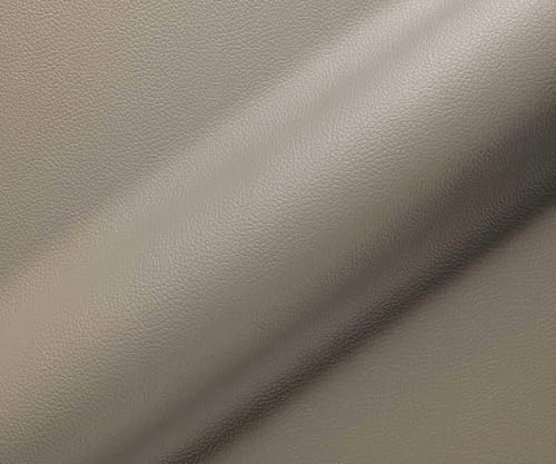 DELIFE Schwingstuhl Nube-Flex Freischwinger flach Edelstahl Echt-Leder Schlamm Taschenfederkern - 4